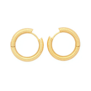 Loop Earrings in Gold Colour