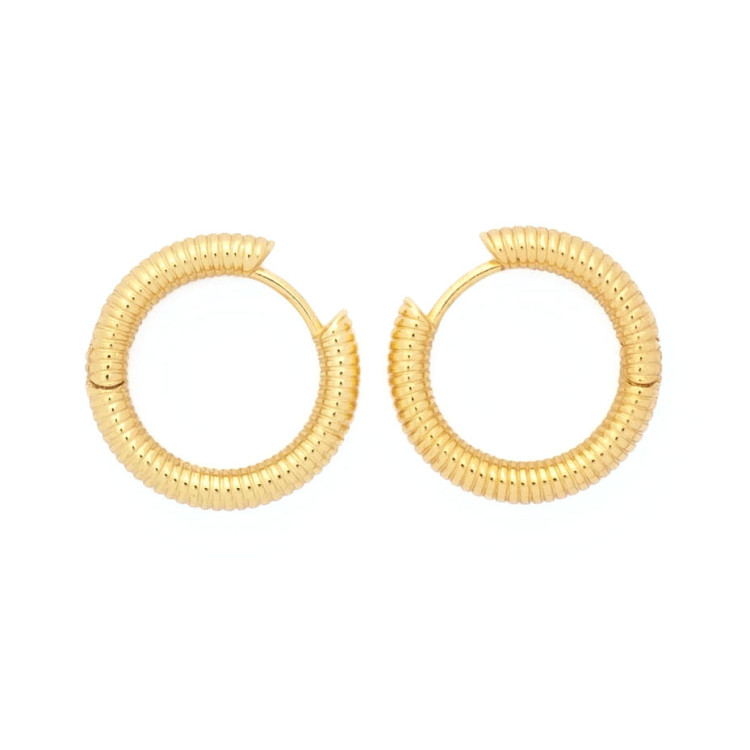 Loop Earrings in Gold Colour