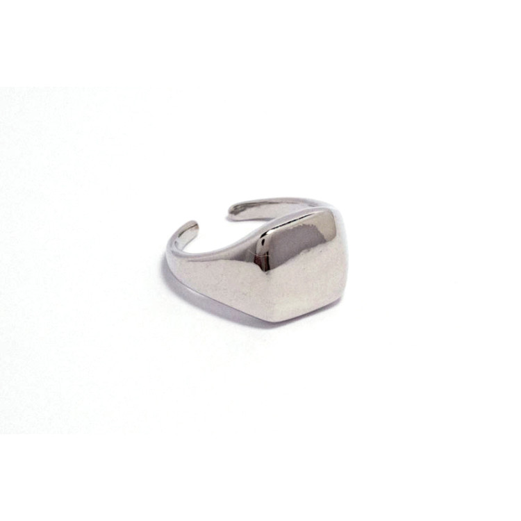 The Infinity Ring Collection Elegance and Chic Freesize Non Tarnish Silver Colour