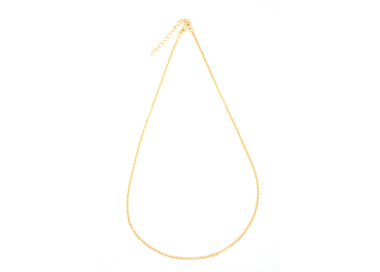 Necklace For the Chic 45cm + 5cm Non Tarnish Gold Colour