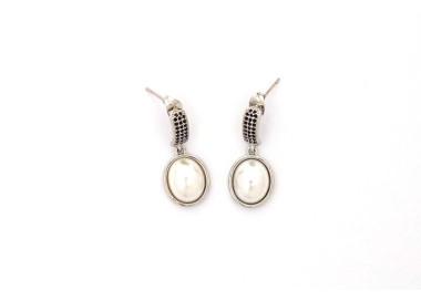 The Urban Earrings Collection Bold and Noble Non Tarnish Silver Colour